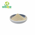 Ginseng Extract Pulver 80% Ginsenoside UV